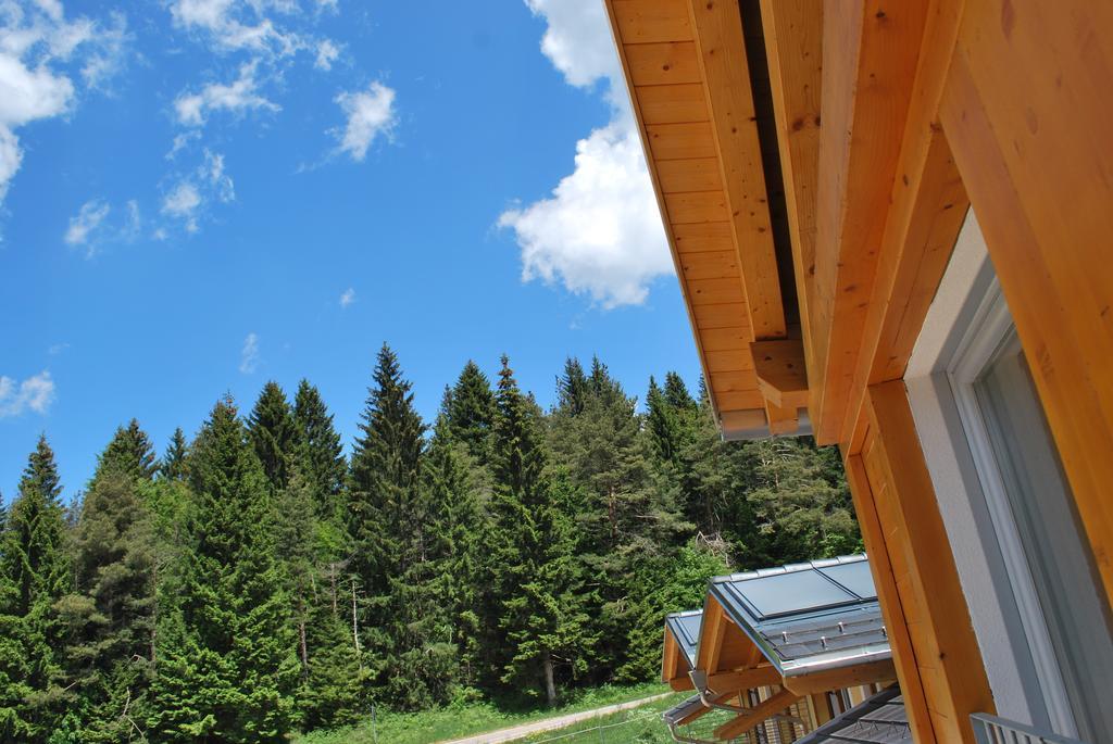 Hotel Elbele Garni Folgaria Bagian luar foto